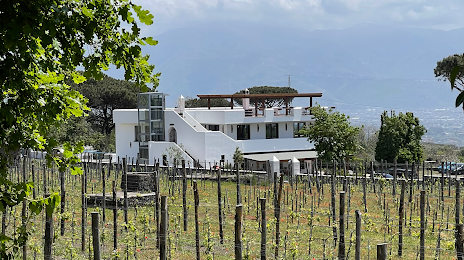 Cantina del Vesuvio Winery Russo Family, Boscotrecase