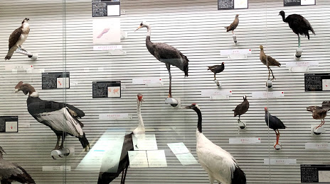Abiko City Museum of Birds, 가시와 시