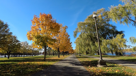 René Lévesque Park, Montreal