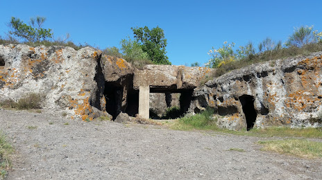 Necropoli etrusca (Grotta Porcina), 