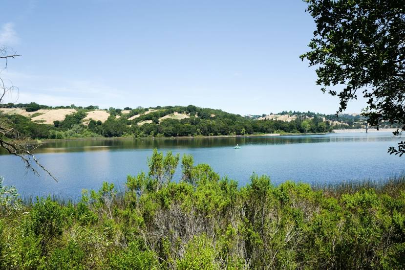 Lafayette Reservoir, Orinda