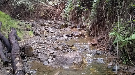 Cerrito Creek, 