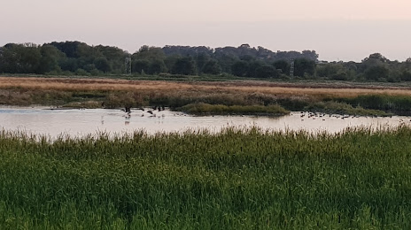 Doxey Marshes, Stafford