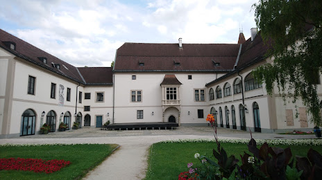 Stadtmuseum Burg Wels, Вельс