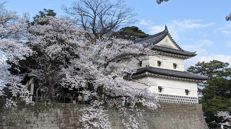 Shibata Castle, 