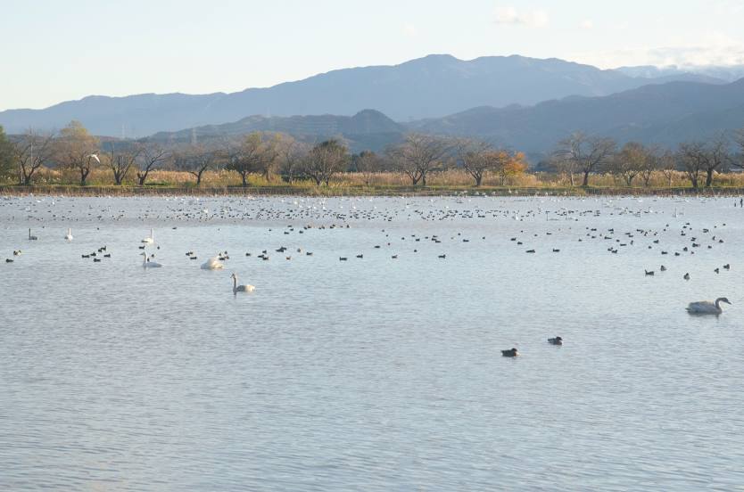 Lake Hyōko, 