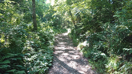 稲島登山口, 