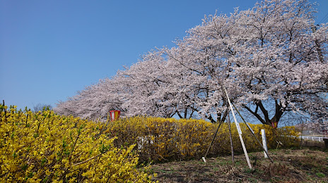 Kajikawachisui Memorial Park, 