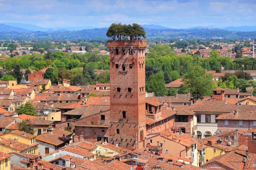 Guinigi Tower, 