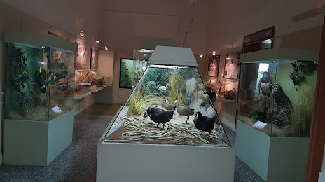 National University of Salta Museum of Natural Sciences, 