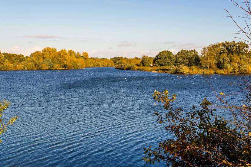 Dinton Pastures Country Park, Bracknell