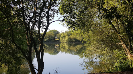 Swan Lake Park, Bracknell