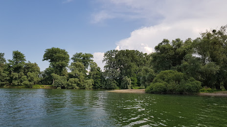 Beinheimer See, 