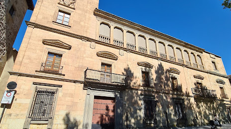 Palacio de Orellana, Salamanca