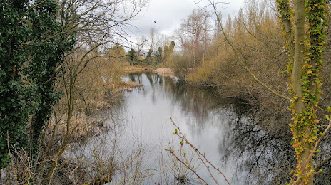 Forbes Hole Local Nature Reserve, 