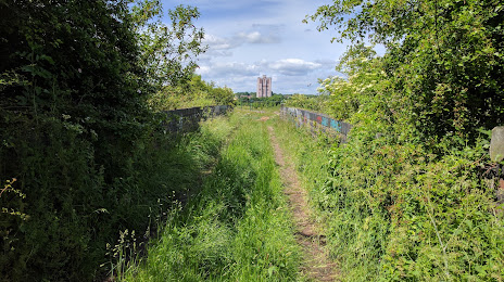 Wilwell Farm Nature Reserve, Long Eaton