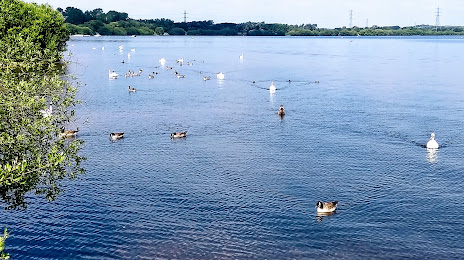 Chasewater Country Park, 