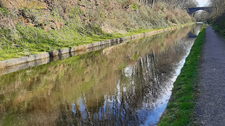 Rushall Canal, Walsall