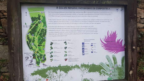 Parque Forestal da Selva Negra, Santiago de Compostela
