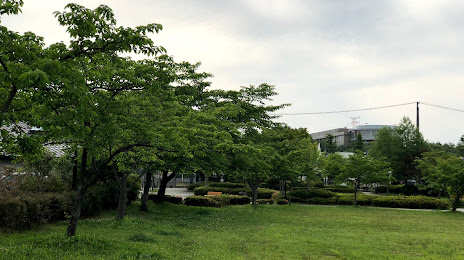 Shinmachi Park, Tomiya