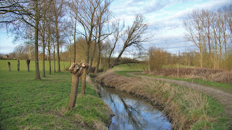 Mombeekvallei Sint-Lambrechts-Herk & Alken (Natuurreservaat Mombeekvallei), Alken