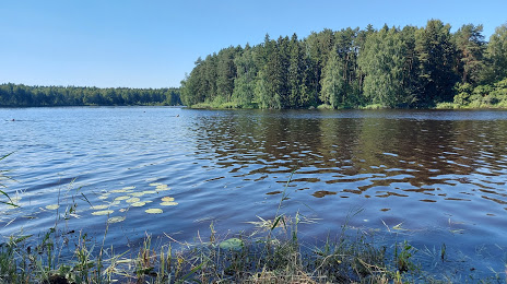Луковое озеро, Ногинск