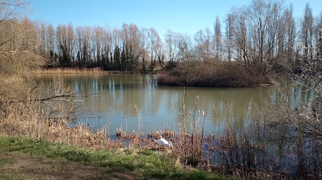 Priory Country Park, Bedford