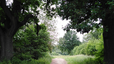 Brampton Wood Nature Reserve, Bedford
