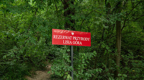 Nature Reserve: Lisia Góra, 