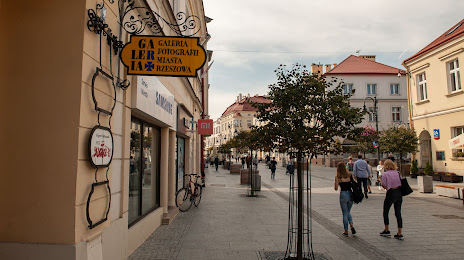 Photo Gallery of the City of Rzeszów, 