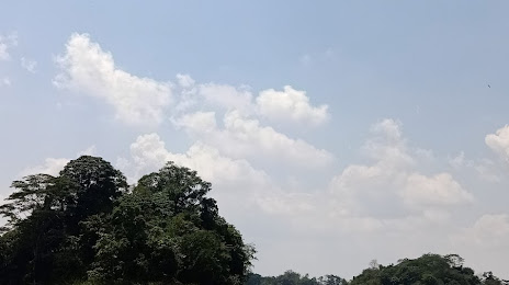 Situ Gede, Singaparna