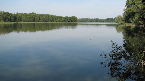 Jezioro Ostrowieckie, Debno
