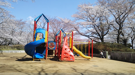 Chiba Prefectural Inbanuma Park, 