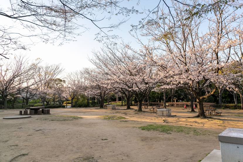 Narashino City Kasumi Park, 