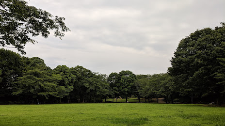 Utsukushigaoka Kinrin Park, 