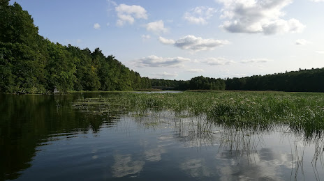 Jezioro Rejowickie, Грифіце