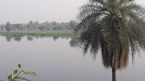 Surajpur Wetland, Greater Noida