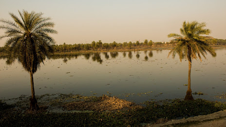 Surajpur Wetland & Natural Forest, Greater Noida