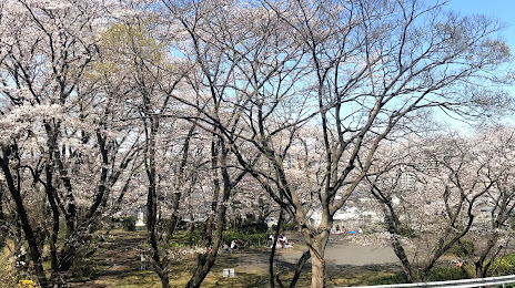 Irohazaka Sakura Park, 