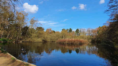 Lightwater Country Park, Camberley