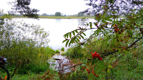 Озеро Глухая Яма, Одинцово