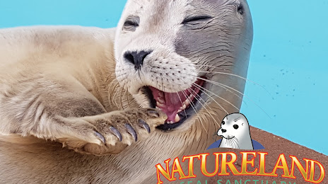 Natureland Seal Sanctuary, Skegness