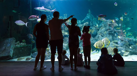 Skegness Aquarium, 