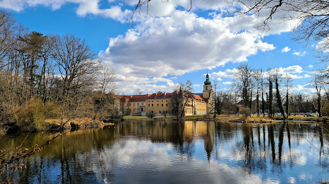 The team Cistercian monastery and palace complex in Rudy, Rybnik