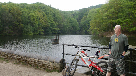 Mosshouse Wood Reservoir, 