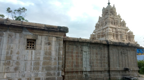 Arulmigu Rajagopalaswamy temple, Τρουνέλβελι