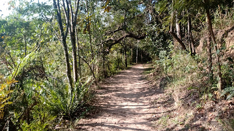 Parque Jequitibá, Cotia