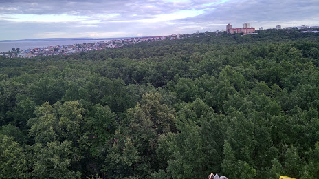 Vinnovskaya Grove, Uljanowsk