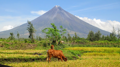 Mayon Volcano Natural Park, Bacacay