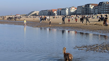 Strand De Haan, Ostend